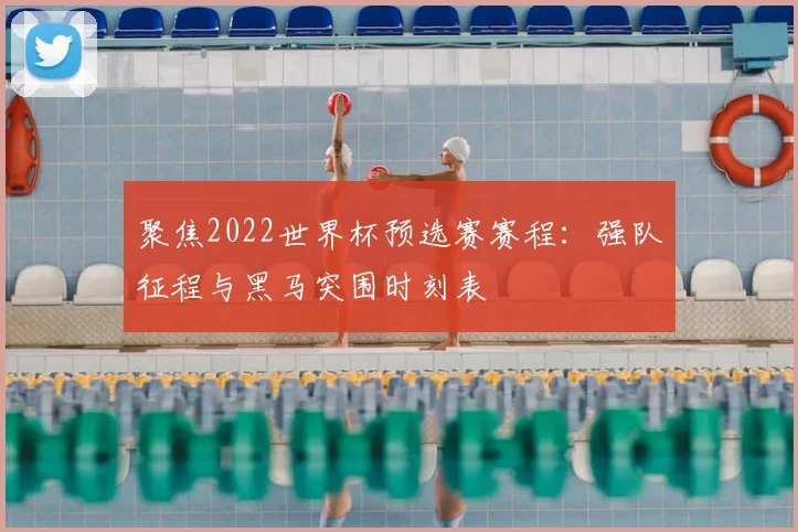 聚焦2022世界杯预选赛赛程：强队征程与黑马突围时刻表