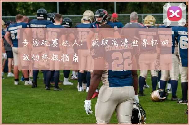 专访观赛达人：获取高清世界杯回放的终极指南