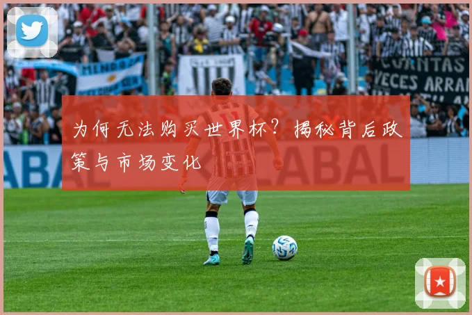 为何无法购买世界杯?揭秘背后政策与市场变化