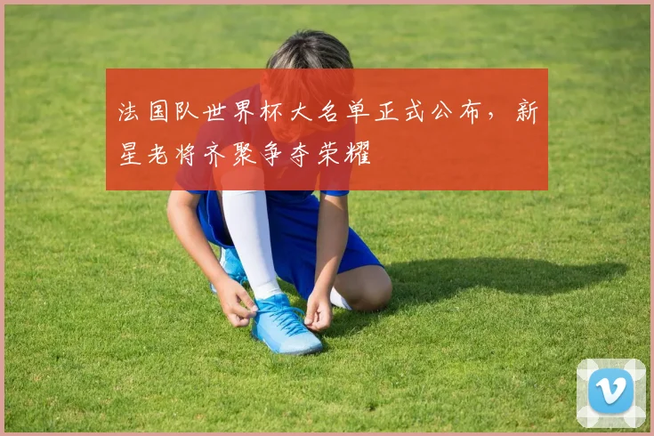 法国队世界杯大名单正式公布，新星老将齐聚争夺荣耀