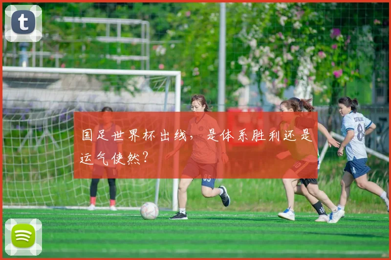 国足世界杯出线，是体系胜利还是运气使然？