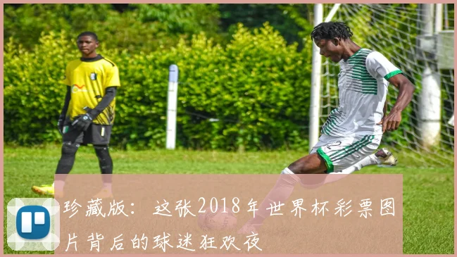 珍藏版:这张2018年世界杯彩票图片背后的球迷狂欢夜