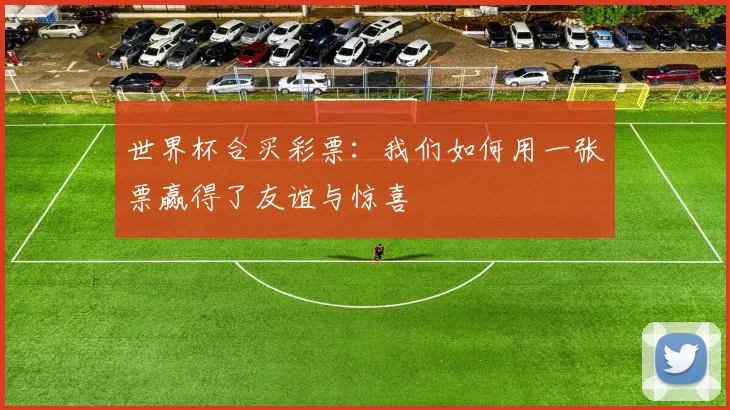 世界杯合买彩票:我们如何用一张票赢得了友谊与惊喜