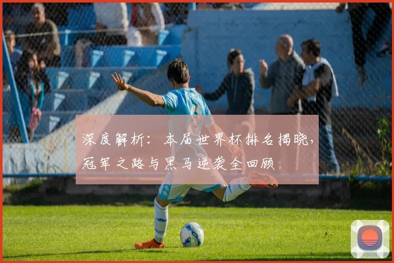 深度解析：本届世界杯排名揭晓，冠军之路与黑马逆袭全回顾