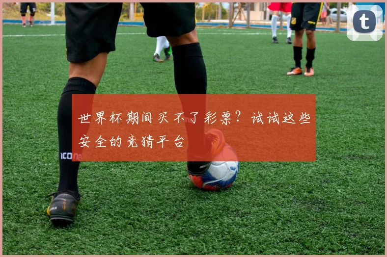 世界杯期间买不了彩票？试试这些安全的竞猜平台